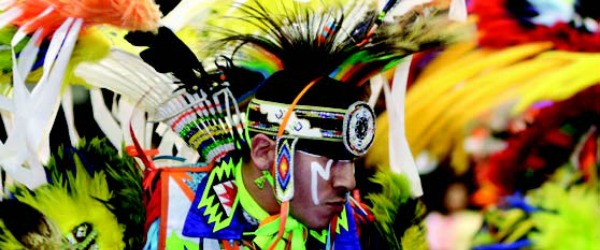 Celebrate and Embrace Diversity | The Institutional Diversity Blog | Dr. Denise O'Neil Green