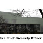 What Is a Chief Diversity Officer (CDO)?